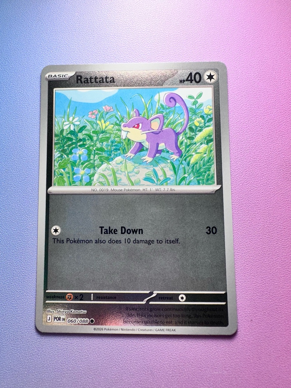 rattata [reverse holo] - 060/088 (common) — pokemon: perfect order